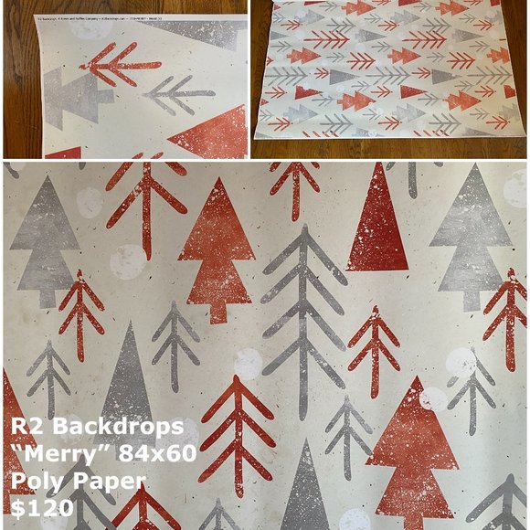 R2 Backdrops Professional Background for Photography - "Merry" 84x60 Poly Paper - Picture 2 of 3